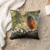 赤芽球鳥 クッション (ブランケット)