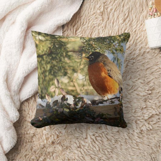 赤芽球鳥 クッション (ブランケット)