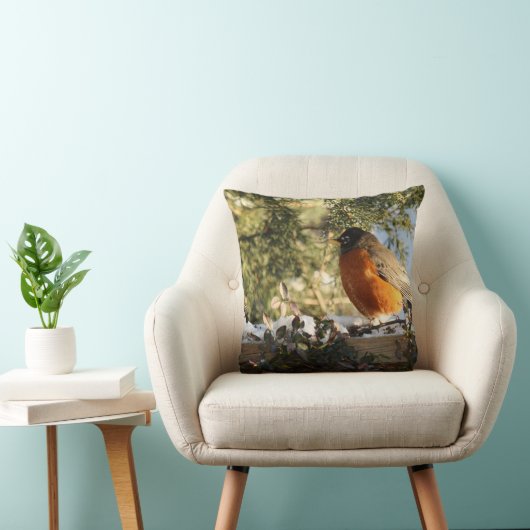 赤芽球鳥 クッション (椅子)