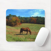 赤茶色の馬、秋の木、青空 マウスパッド (マウス)