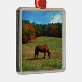赤茶色の馬、秋の木、青空 メタルオーナメント (右)
