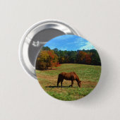 赤茶色の馬、秋の木、青空 缶バッジ (正面&裏面)