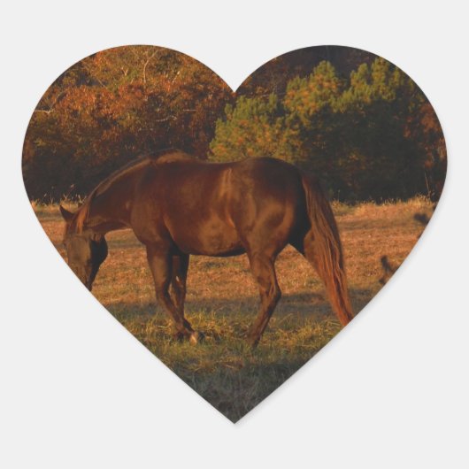赤茶色の馬、秋の森。 ハートシール (正面)