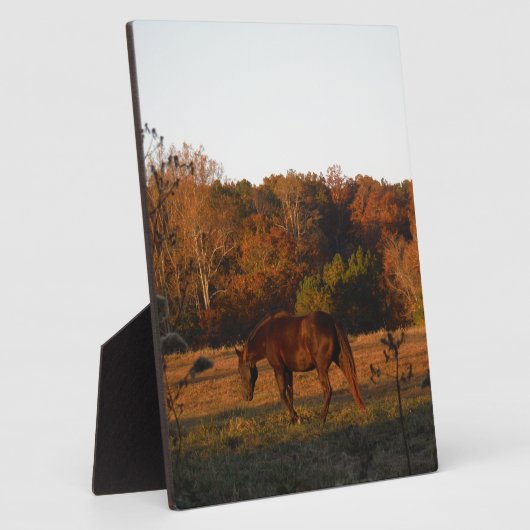 赤茶色の馬、秋の森。 フォトプラーク (側面)