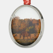 赤茶色の馬、秋の森。 メタルオーナメント (左)