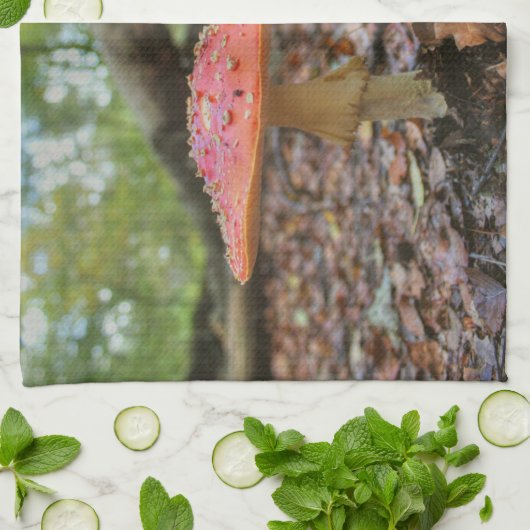 赤茸 キッチンタオル (折り畳み)