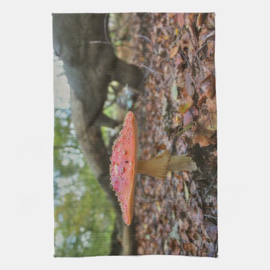 赤茸 キッチンタオル (縦)