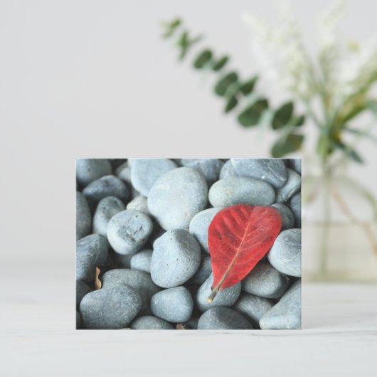 赤葉と石 ポストカード (スタンド正面)