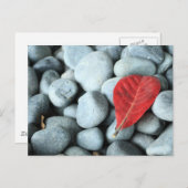 赤葉と石 ポストカード (正面/裏面)