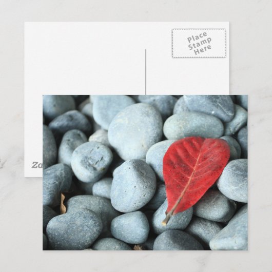 赤葉と石 ポストカード (正面/裏面)