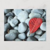 赤葉と石 ポストカード (正面)