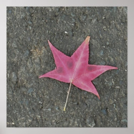 赤葉写真ポスター ポスター