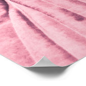 赤葉植物 ポスター (角)