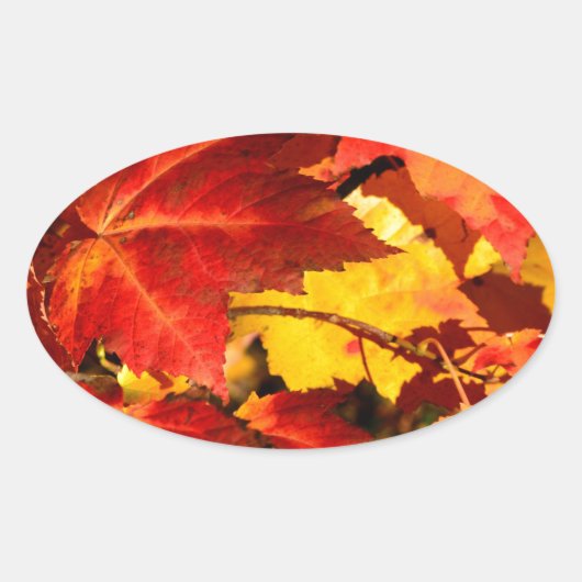 赤葉黄葉色紅葉 楕円形シール (正面)