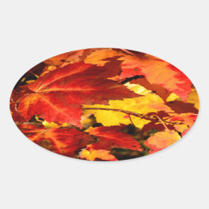 赤葉黄葉色紅葉 楕円形シール