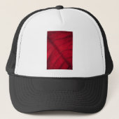 赤葉 キャップ (正面)