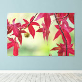 赤葉 キャンバスプリント (インサイチュ (ウッドフロア))