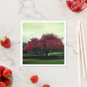 赤葉 スタンダードカクテルナプキン (インサイチュ)