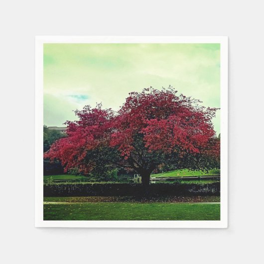 赤葉 スタンダードカクテルナプキン (正面)