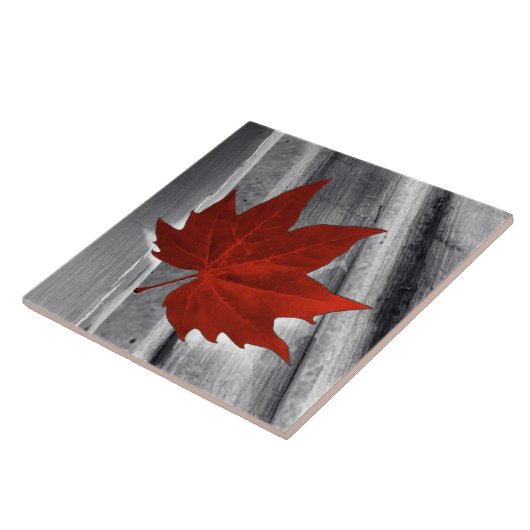 赤葉 タイル (側面)