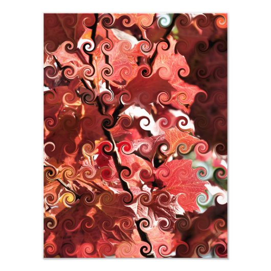 赤葉 フォトプリント            (正面)