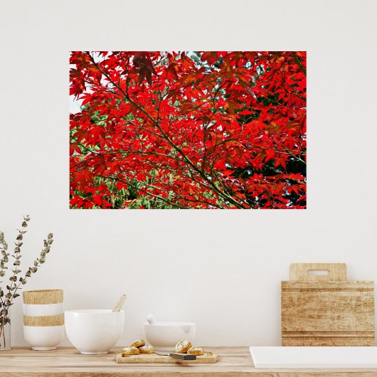 赤葉 ポスター (キッチン)