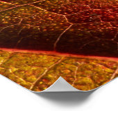 赤葉 ポスター (角)