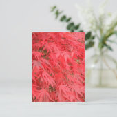 赤葉 ポストカード (スタンド正面)