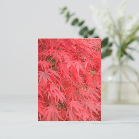 赤葉 ポストカード (スタンド正面)