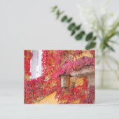 赤葉 ポストカード (スタンド正面)