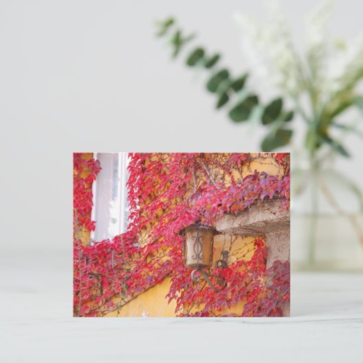 赤葉 ポストカード (スタンド正面)