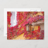 赤葉 ポストカード (正面/裏面)