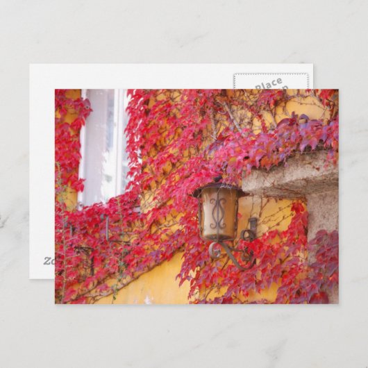 赤葉 ポストカード (正面/裏面)