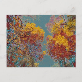 赤葉 ポストカード
