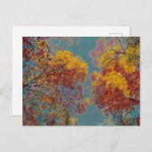 赤葉 ポストカード (正面/裏面)