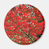 赤葉 マグネット (正面)