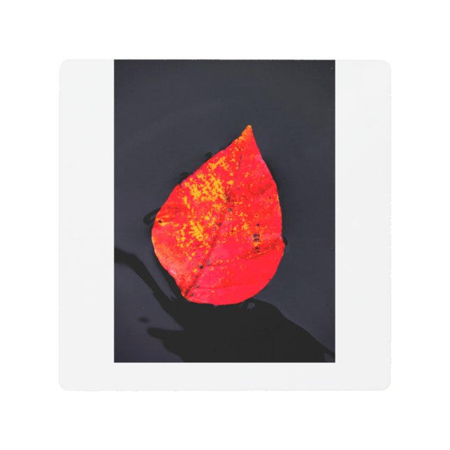 赤葉 メタルプリント (正面)