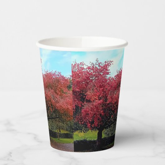 赤葉 紙コップ (左)