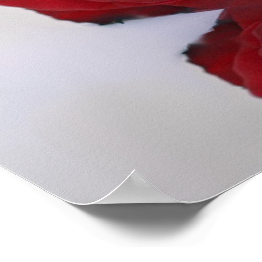 赤薔薇の座席表を結婚写した23表 ポスター (角)