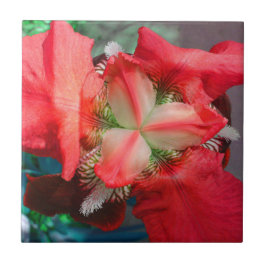 赤虹彩タイル タイル