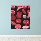 赤血球と白血球の一つ キャンバスプリント (インサイチュ (ウッドフロア))