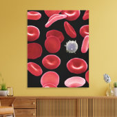 赤血球と白血球の一つ キャンバスプリント (インサイチュ (リビング))