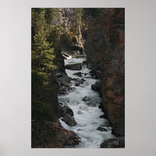 赤血球の急流 ポスター (正面)