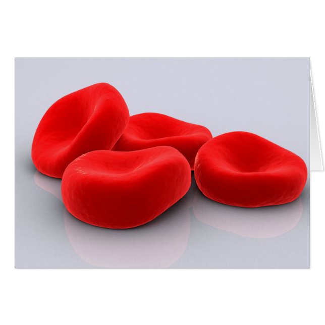 赤血球の概念像 (正面横)