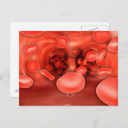 赤血球の流れることの顕微鏡の眺め ポストカード (正面/裏面)