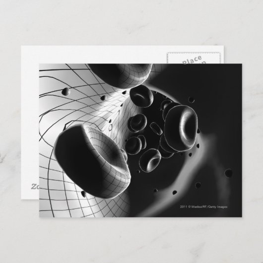 赤血球の白黒の倍率 ポストカード (正面/裏面)