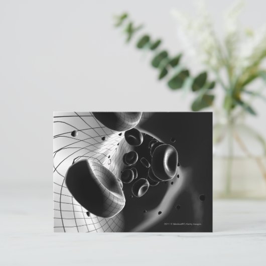 赤血球の白黒の倍率 ポストカード (スタンド正面)