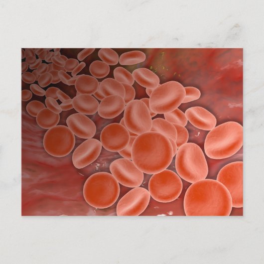 赤血球を持つ動脈の内側 ポストカード (正面)
