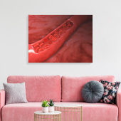 赤血球流動脈断面積 キャンバスプリント (インサイチュ (リビング))