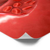 赤血球流動脈断面積 ポスター (角)